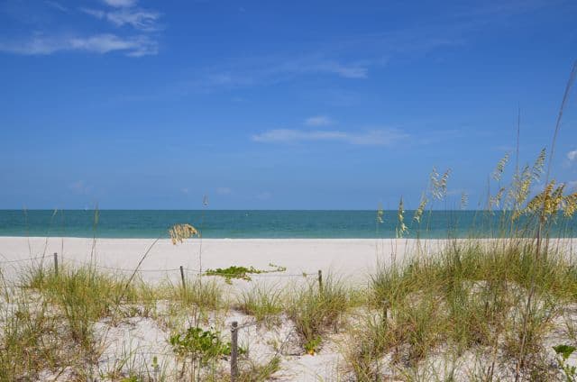 H ON 56 - 56 Gulf Shore Blvd. S.