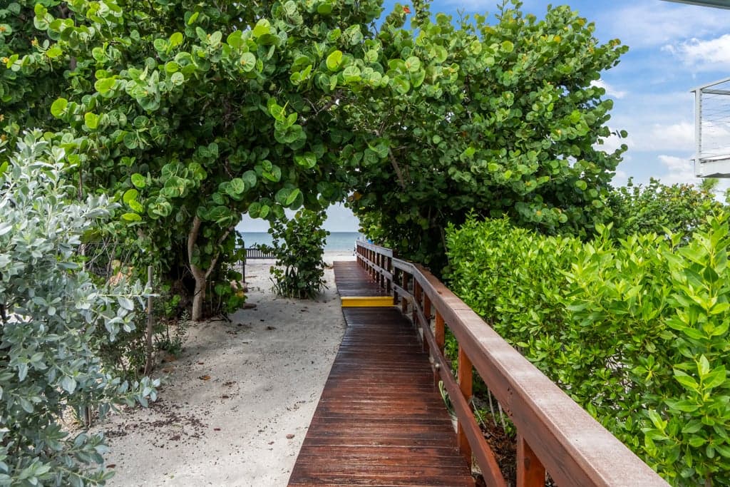 Sunset Captiva 39 photo 5