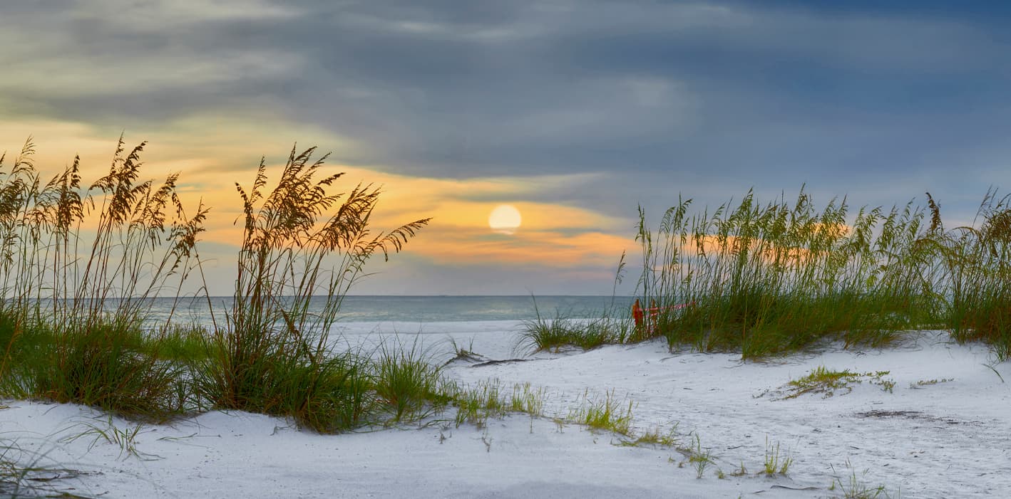 Southwest Florida coastline